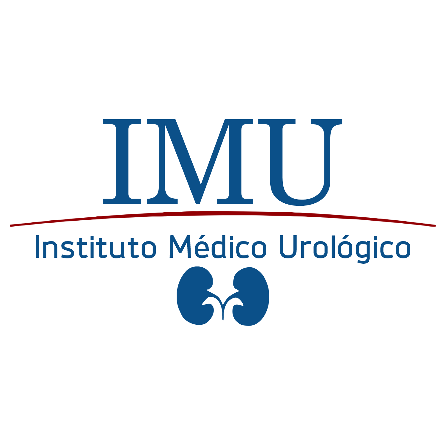 IMU Logo